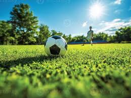 赛事研究者使用场景